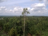 DSCF3906.JPG