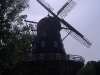 DSCF3926.JPG