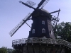 DSCF3927.JPG