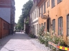 DSCF3929.JPG